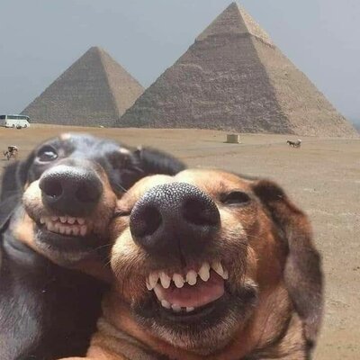 Timeline: History of the universe