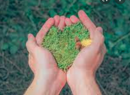 Resolucion 1352 de 2017