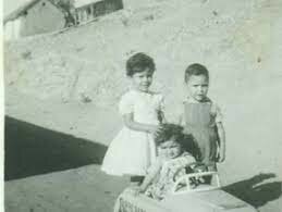 (Muñoz y Pachón, 1996, p. 330).