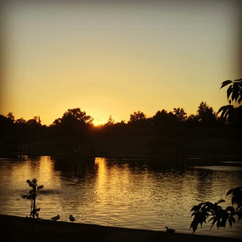 Mi visita al Lake Balboa