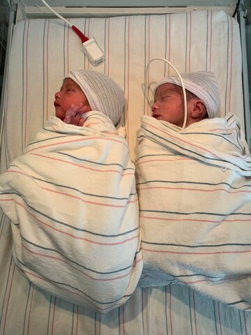 Nacimiento de los Twinkies