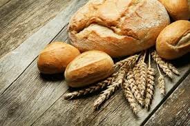 Spallanzani: La digestión humana