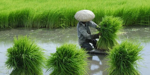 Modo de producción asiático
