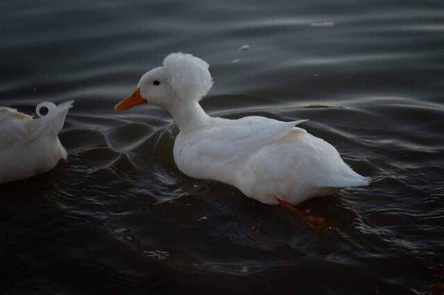 Primera foto con camara profesional