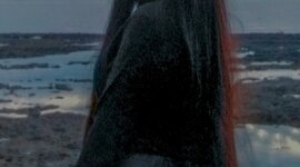 Timeline: My media timeline