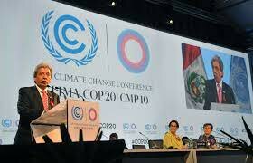 COP 20 / CMP 10, Lima, Perú