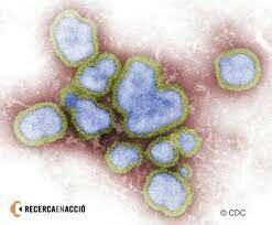 Alarma per la possible pandèmia de la grip A.