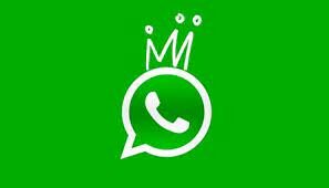 Apareix WatsApp, una revolució en la missatgeria per mòbil.