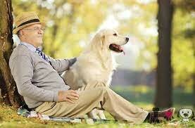 Yoshka, el primer "perro de compañía"