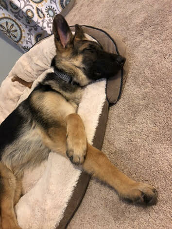 Moved into Byron Center!