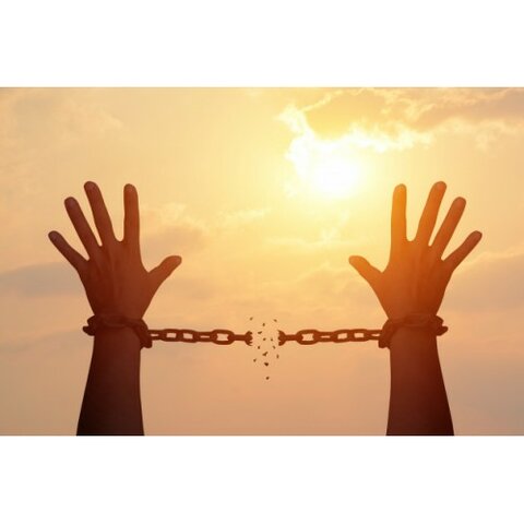 LIBERACION DE LA ORDEN