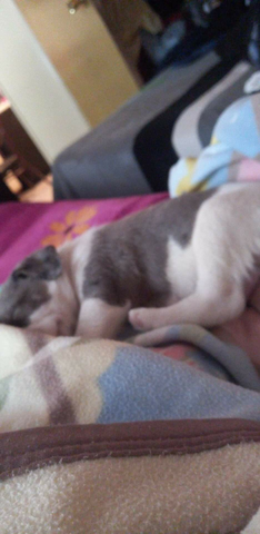 llegada de mi felicidad