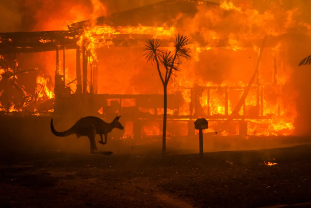 Australian Bush Fires