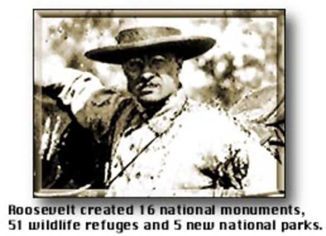 Newland Reclamation Act