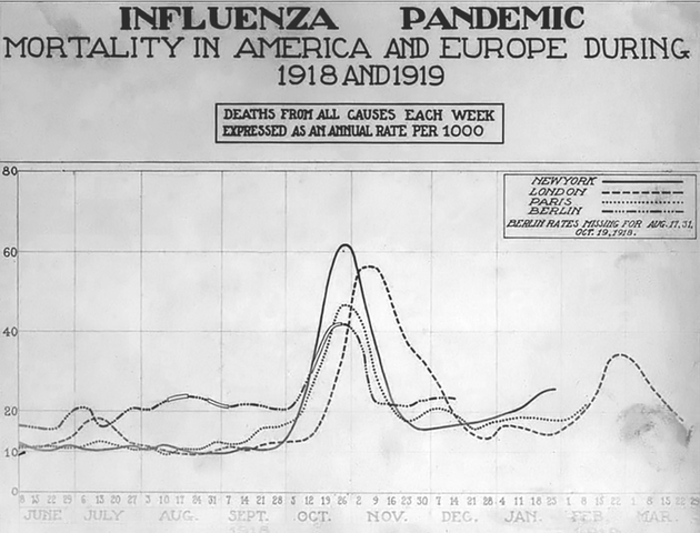 Influenza and Pneumonia Epidemic