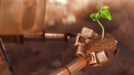 Wall E show Eve a plant