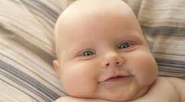 Timeline: Vida de Guillem Torné