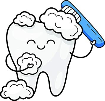 Se'm va caure la meva primera dent