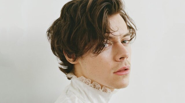 HARRY STYLES PRIMER ÀLBUM (Cultural)