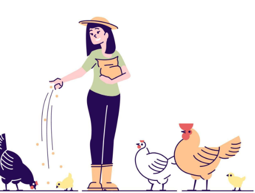 Tinc el meu primer animal