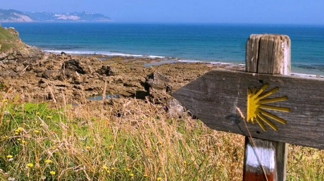 wasilon 38 me hizo unos macarrones. sos un boludo