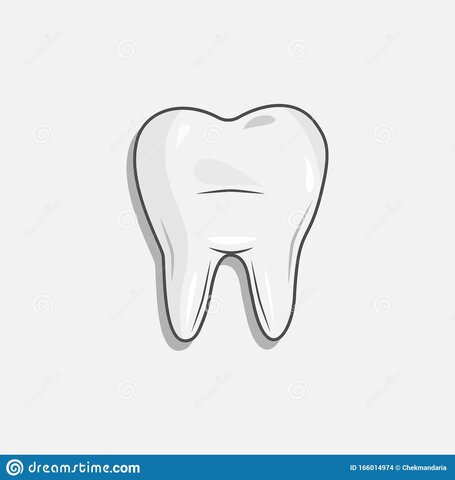 em cau la primera dent