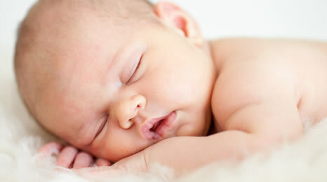 neix la meva germana lila