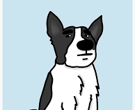 Tener Mi primer perro