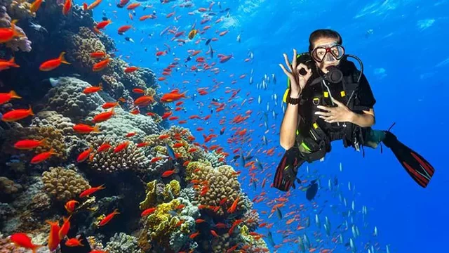 Bussejo per primera vegada