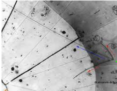 Descobriment del neutrí