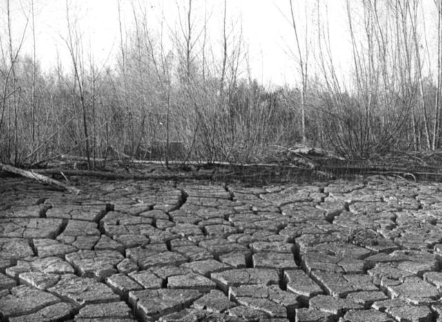 Newlands Reclamation Act