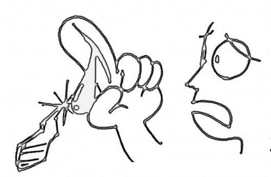 Em vaig tallar el dit