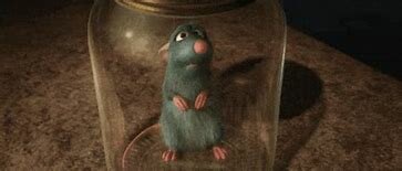 Remy Is Found