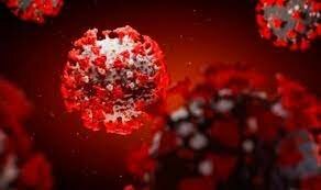 LA PANDÈMIA COVID, SRAS-CoV-2 (SOCIAL)