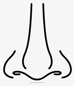 Quasi em trenco el nas