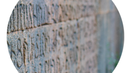 Timeline: Historia del manuscrito y el libro