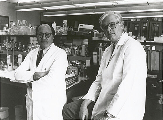 Nacimiento de las técnicas de ingeniería genética