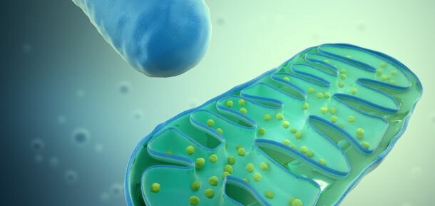 El Parkinson y las mitocondrias