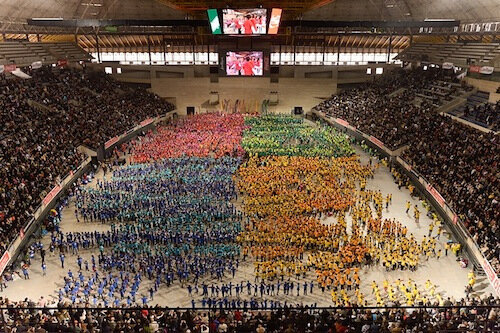 faig el dansa ara a l'escola