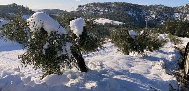 LA PEDREGADA FILOMENA (CLIMÀTIC)