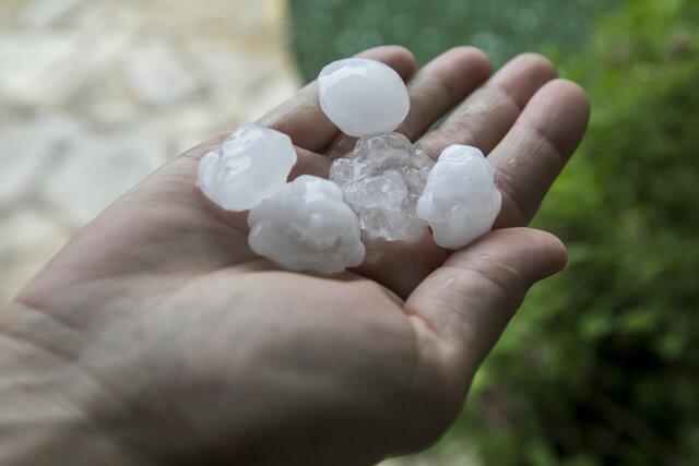 PEDREGADA A CATALUNYA (CLIMATIC)