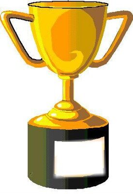 Primera lliga guanyada amb el meu equip