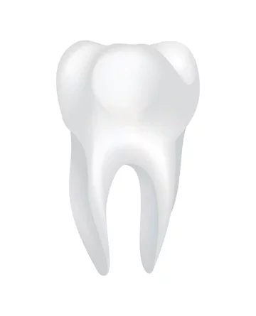 Sem cau la primera dent