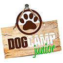 Vaig començar dog camp