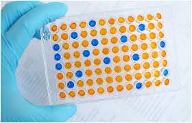 Development of ELISA test to screen for diseases like HIV