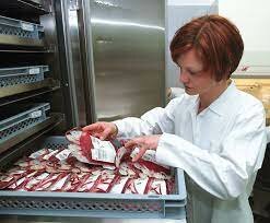 dr Bernard fantus establishes the first blood bank