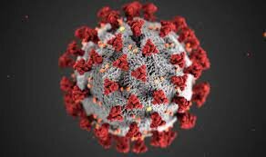 Primer dia de confinament (Social)