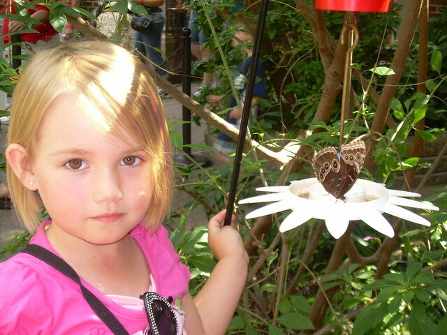 The continuation of the Family