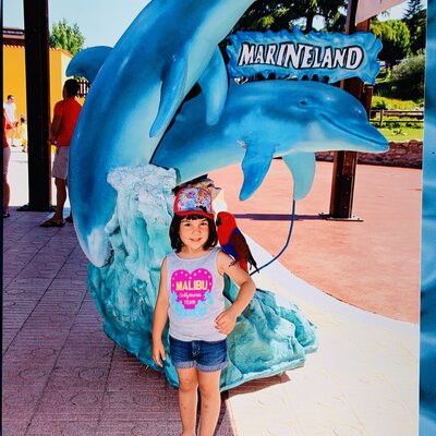 Timeline: LA MEVA HISTÒRIA