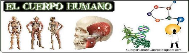 6 y 7 Lección Power Point La célula